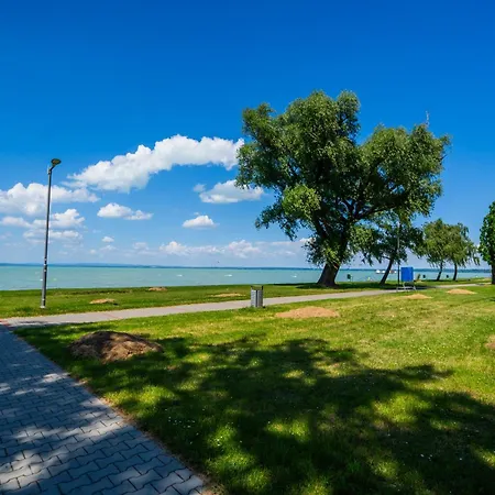 Myflat Casa Galerius *